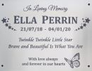 ella perrin